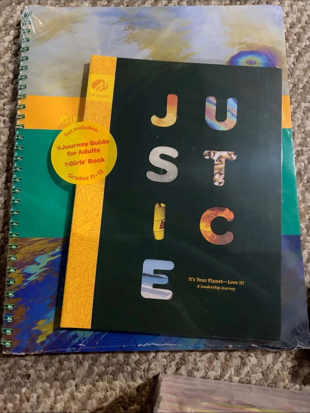 Multiple Girl Scout Journey Books